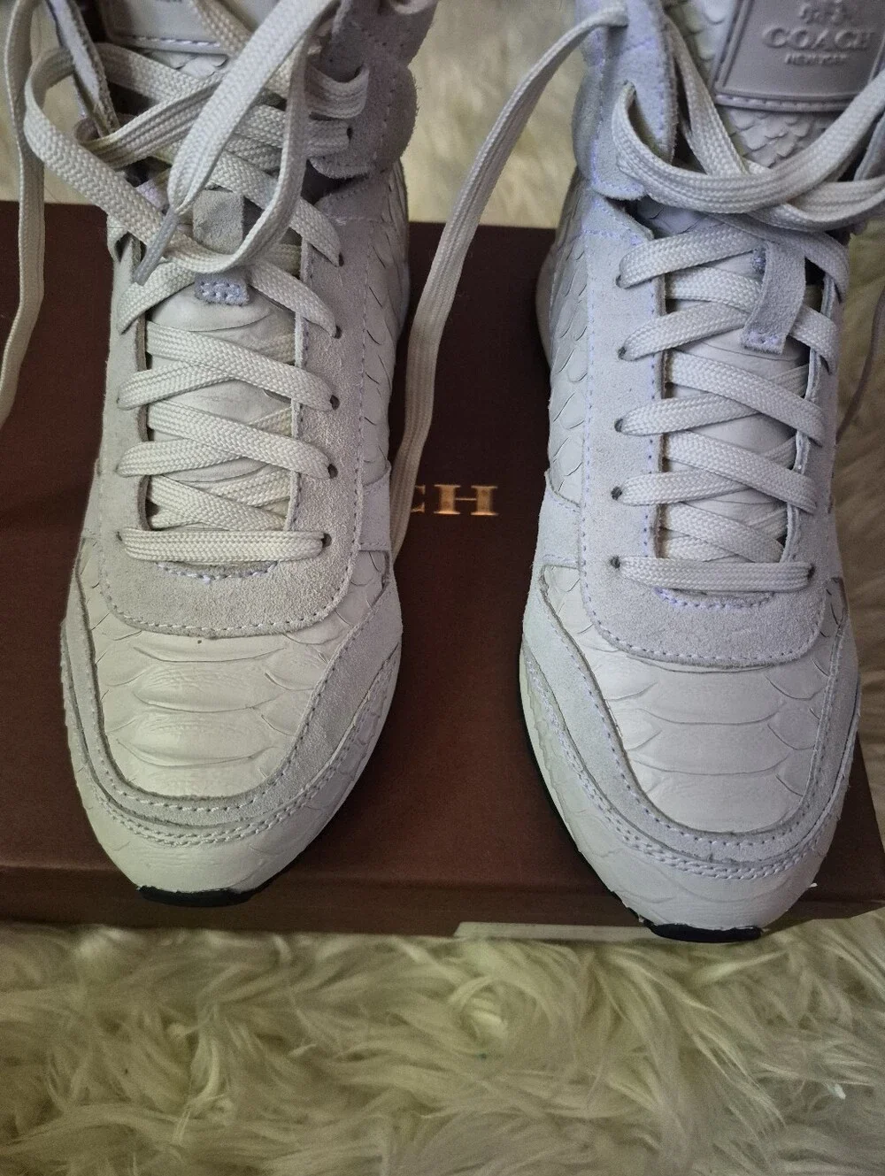 Coach moonlight sneakers